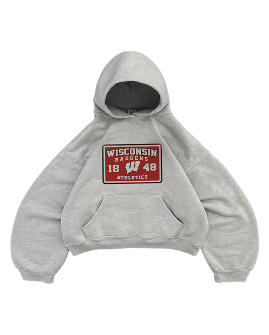 WISCONSIN GREY HOODIE