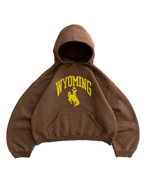 WYOMING BROWN HOODIE